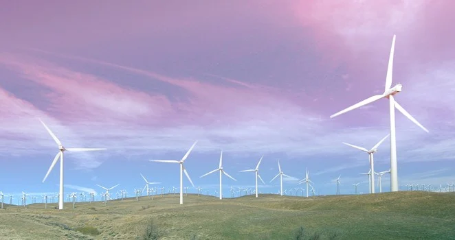 Sustainability Now Guide